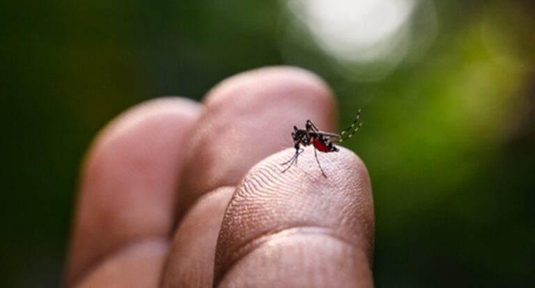 Parque Boa Esperança entra na rota do 13º mutirão contra a dengue em Itapevi